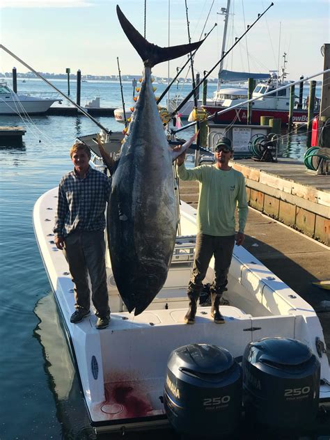 Bluefin Tuna Fishing in Sydney .